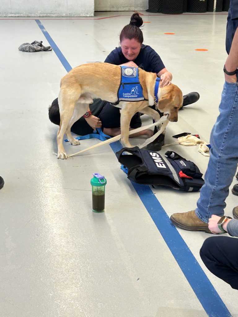 Ajax Facility Dog